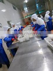 Ningbo Blue Whale Import & Export Co., Ltd. company overview - view 3