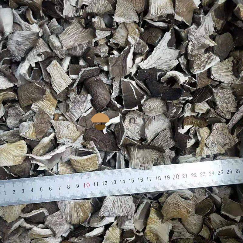 Dried oyster mushroom cuts