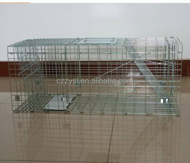 Humane Live Animal Cage Trap Kit for Humane Catch Release Rodent Small Cat, Rabbits, Squirrel, Opossum, Squire, Raccoon