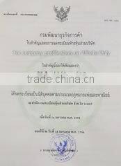 Thaipaperflowers.co,ltd. company overview - view 1