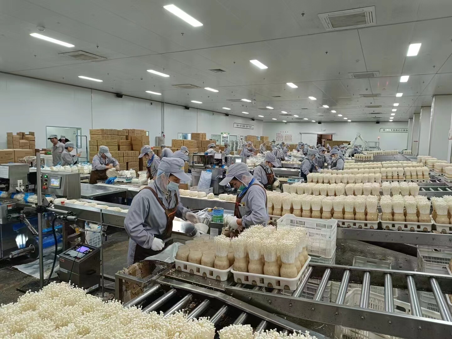 Shanghai Sulen Industrial Co.,ltd company overview - view 1