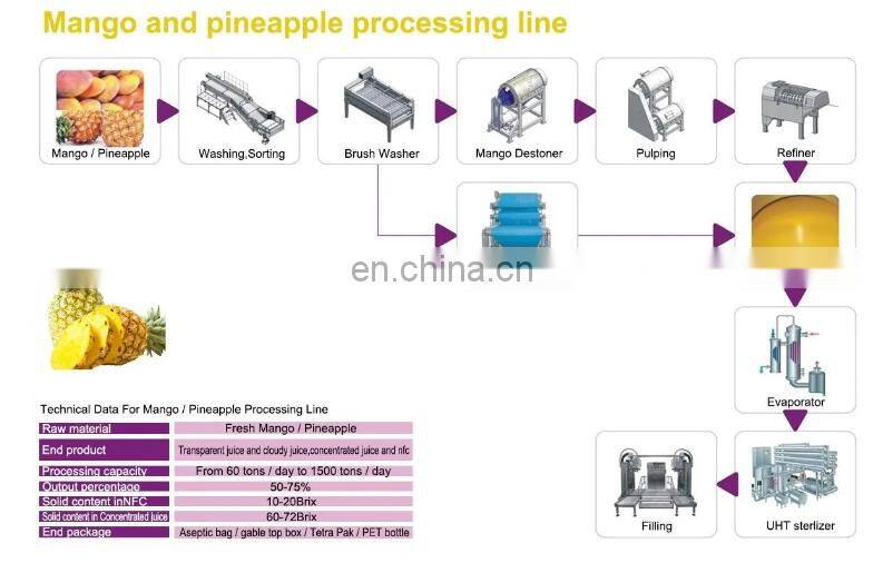 Automatic industrial  complete pineapple juice production line