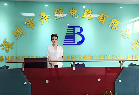 Shenzhen Benqiang Circuit Co., Ltd. company overview - view 1