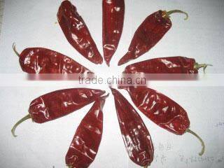 Qingdao Fumanxin Foods Co., Ltd. company overview - view 1