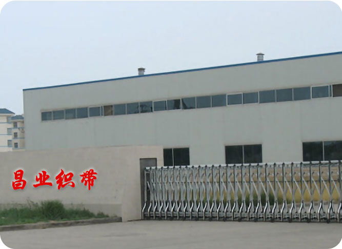 Dongguan ChangYe Webbing Co., Ltd. company overview - view 1