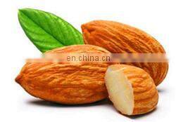 full automatic argania spinosa/argan oil/fat/grease extractor/extracting machines