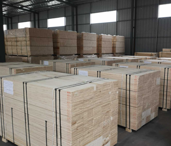 Shandong Grandmore Enterprise Development Co., Ltd company overview - view 1