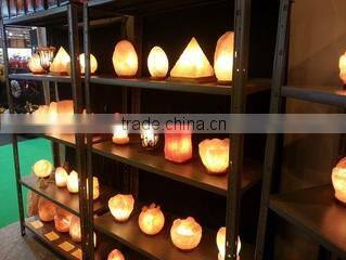 Wassy Himalaya S.l. company overview - view 2