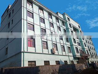 Zhejiang Dijiu Toys Co., Ltd. company overview - view 1