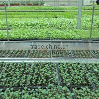 Guangzhou Lead You Seed Co., Ltd. company overview - view 1