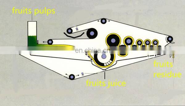Industrial Canned Fruit Papaya Pineapple Processing Machine Papaya Juice Production Line