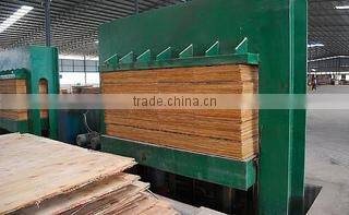 Linyi Zhengda Wood Co., Ltd. company overview - view 2