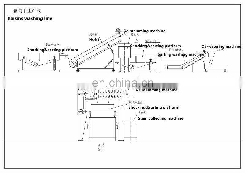 Raisin stem removing machine