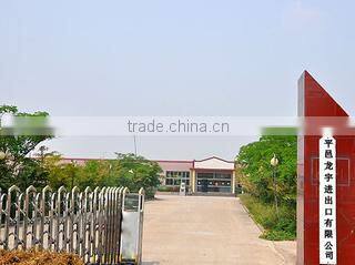 Pingyi Longyu Import And Export Co., Ltd. company overview - view 1