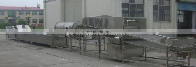 dried kiwi chips processing line