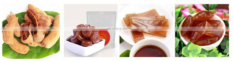 fully automatic Tamarind juice extraction line