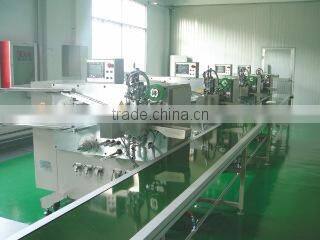 Beijing Zhongxun Dison Battery Co., Ltd. company overview - view 3