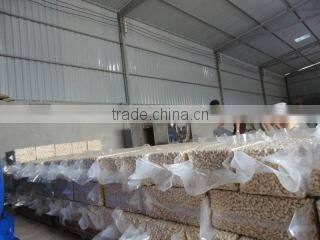 Southern Top Investment Company Limited company overview - view 3