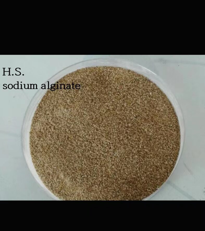 Qingdao Hongshun Seaweed Co.,ltd company overview - view 1