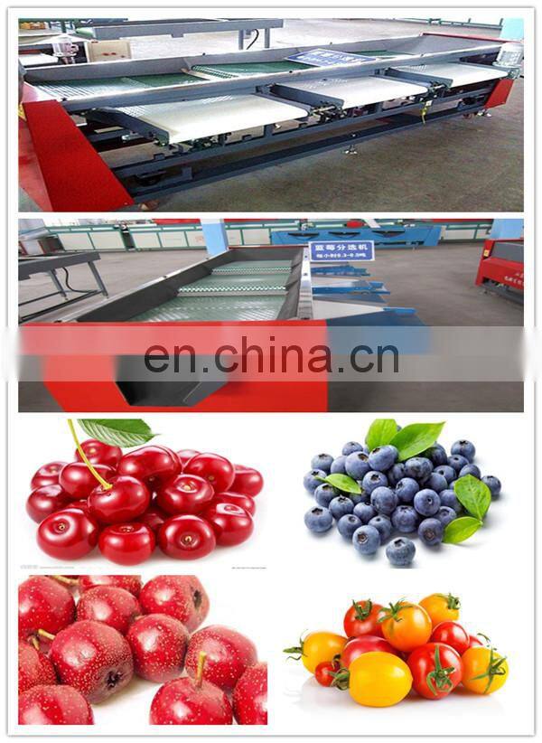 Best sale Belt conveyor and sorting machine