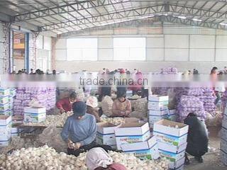 Jining Sinotrading Co., Ltd. company overview - view 4