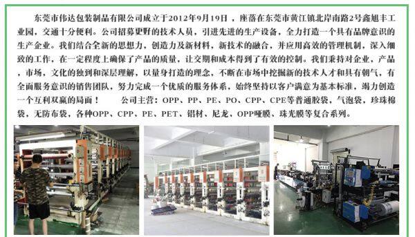 Dongguan Weida Packing Products Co Ltd company overview - view 2