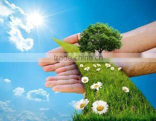 Dongying Golden Ocean International Trading Co., Ltd. company overview - view 3