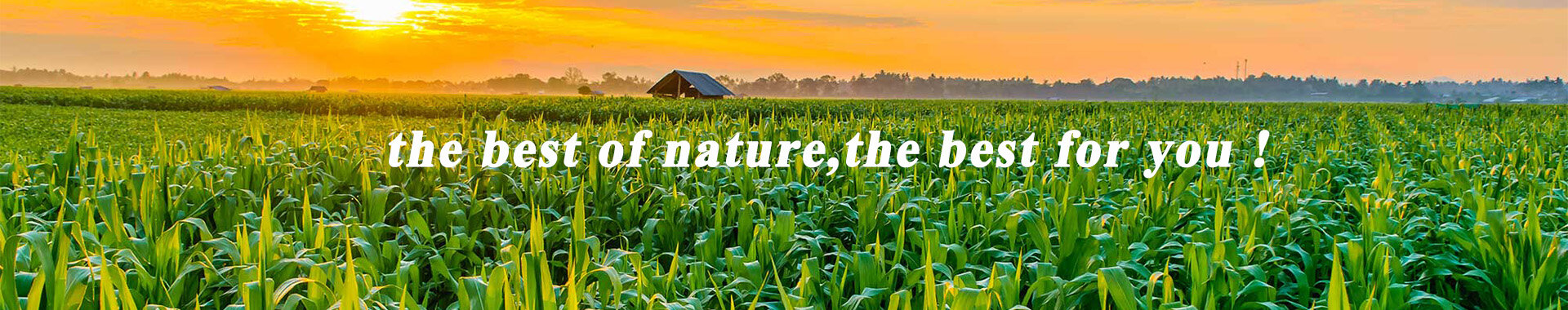 Shanghai Unitebiz International Trade Co.,Ltd. company overview - view 1