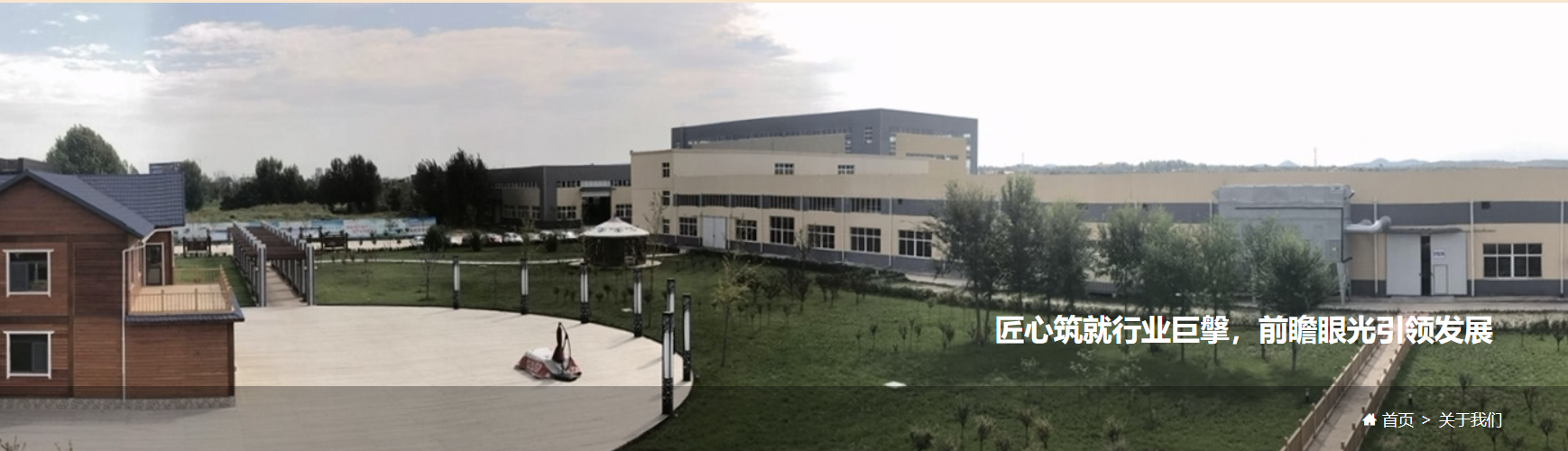 Shandong Dingchi Wood Group Co., Ltd company overview - view 2