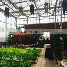 Xi'an Chunhefang Import & Export Co., Ltd. company overview - view 1