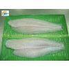 Thien Phat Seafood Co.,ltd ( Pangasius Supplier) company overview - view 1