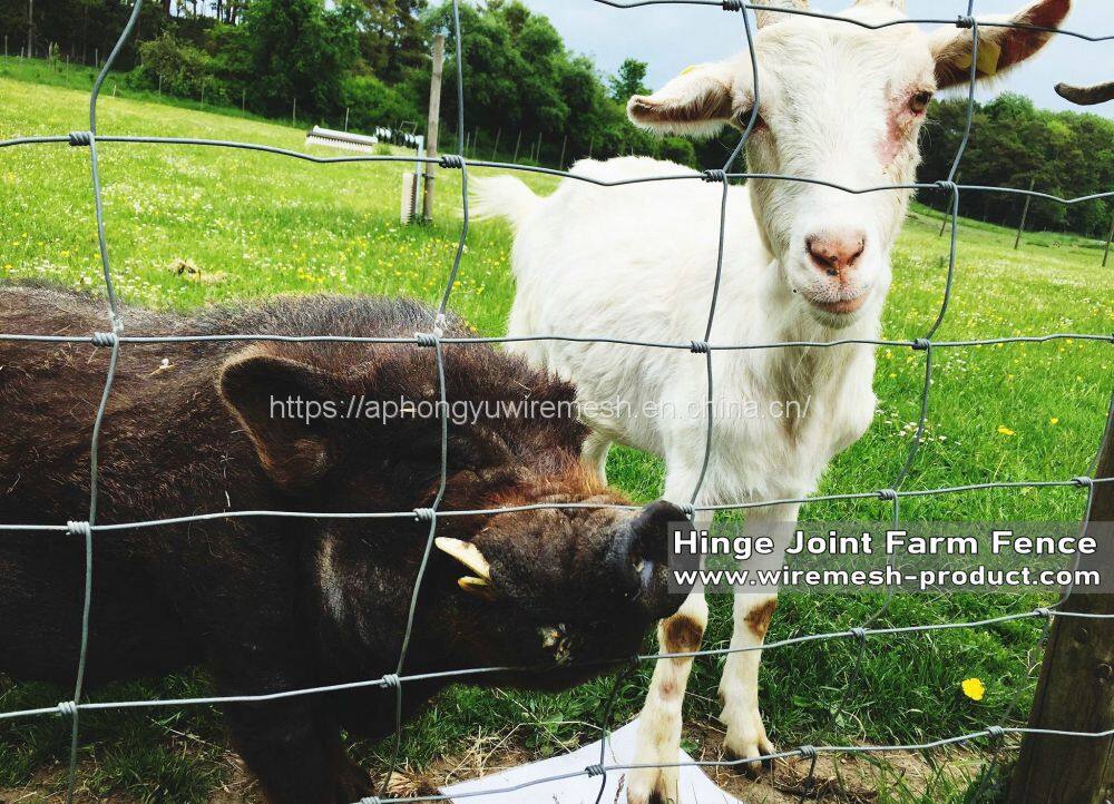 gettyimages-565826847-2048x2048