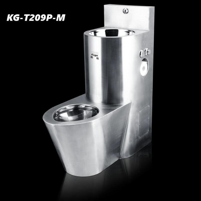 T209P-M 1.png