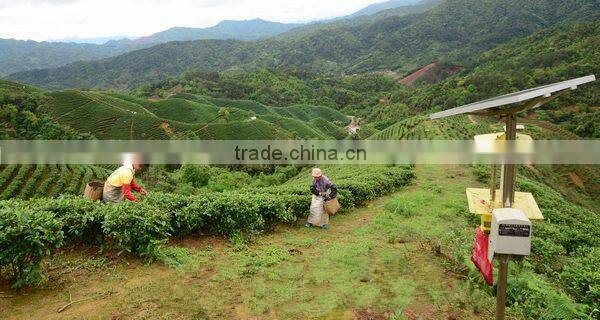 Henan Yihealth Tea Co., Ltd. company overview - view 2