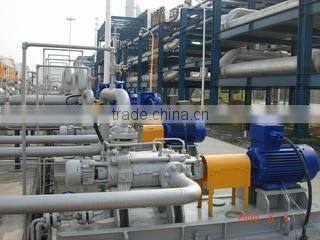 Dongguan Pengnong Im&Export Co., Ltd. company overview - view 3