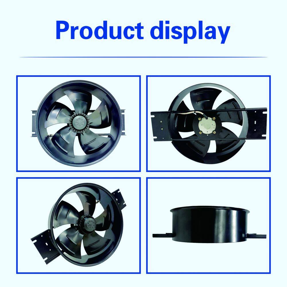 1D產(chǎn)品展示3(英文)