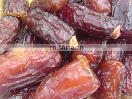 manufacturer for date making machine