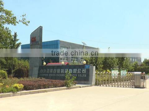 Shandong Mingda Packing Product Co., Ltd. company overview - view 1
