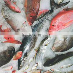 Dung Seafood Company Limited company overview - view 3