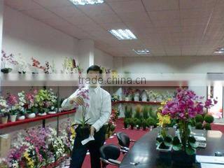 Shenzhen LeehomFC Flower Co., Ltd. company overview - view 3