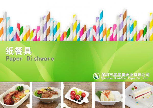 Shenzhen Sun & Star Paper Co. Ltd. company overview - view 1