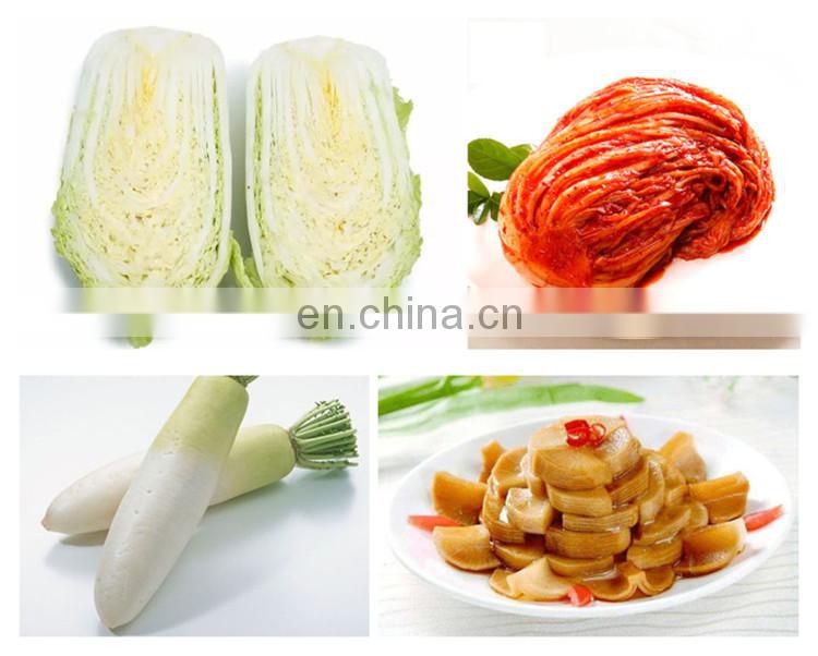 turnkey cabbage kimchi processing line