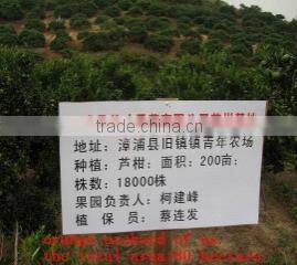Zhangpu Yicai Fruit & Vegetable Co., Ltd. company overview - view 1