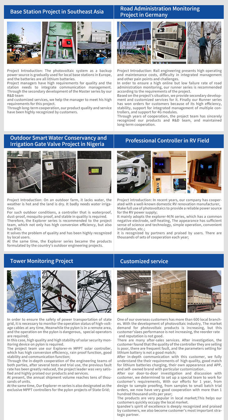 IPandee New Energy company overview - view 1