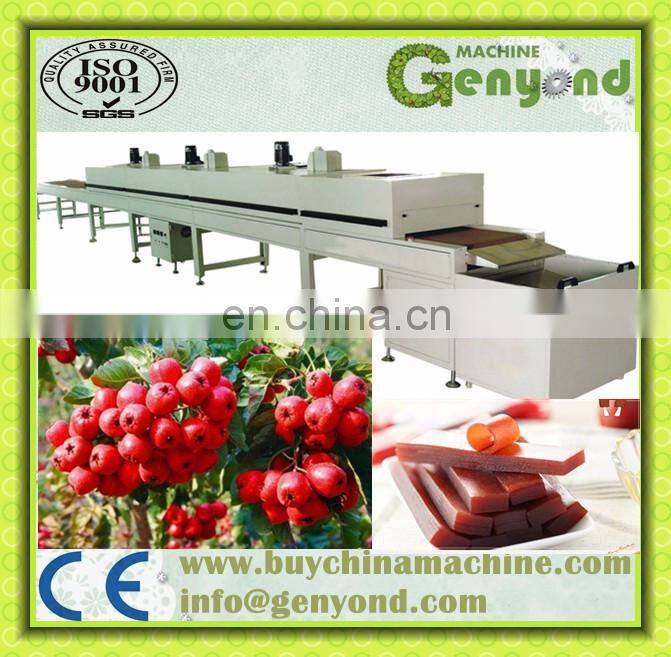 Accurate hawthorn sweetend roll processing Line