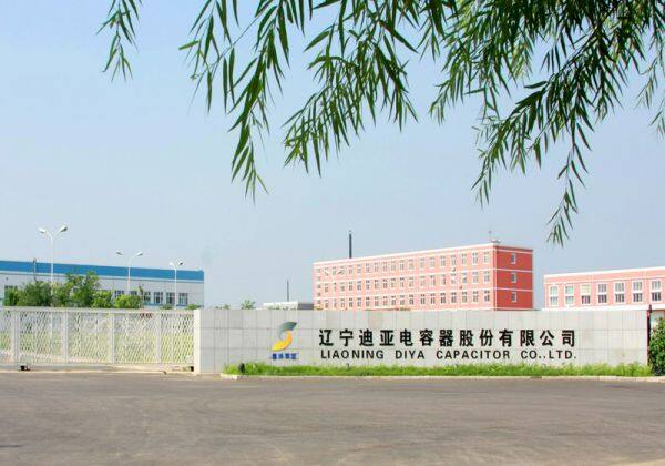Liaoning Diya Capacitor Co.ltd. company overview - view 1