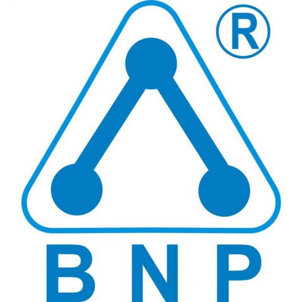 Guangzhou BNP Ozone Technology Co., Ltd.