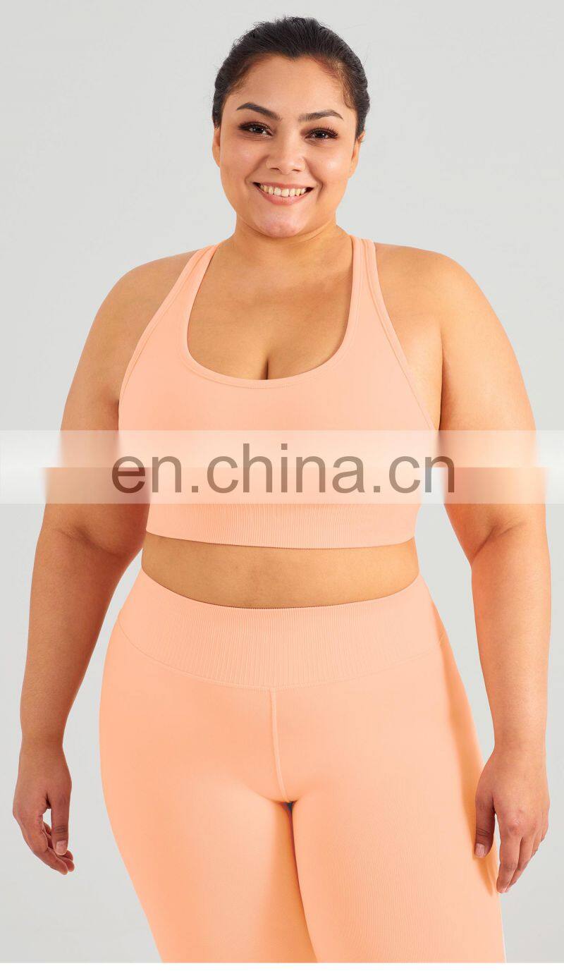 Custom Eco High Impact Seamless Sports Racer Back Gym Sexy Bra Women Plus Size Yoga Top