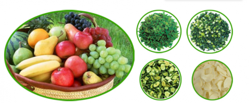 Intelligent Upgrade Freeze Vacuum Drying Machine
