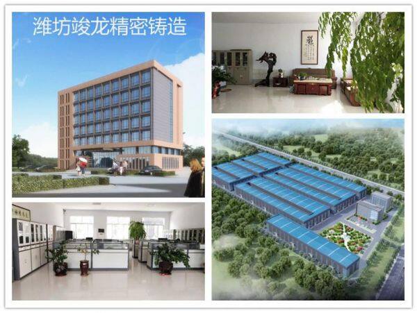 Weifang Junlong Machinery Co. LTD company overview - view 1